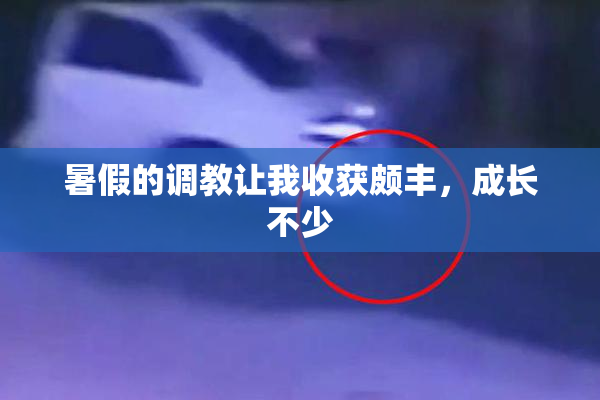暑假的调教让我收获颇丰，成长不少