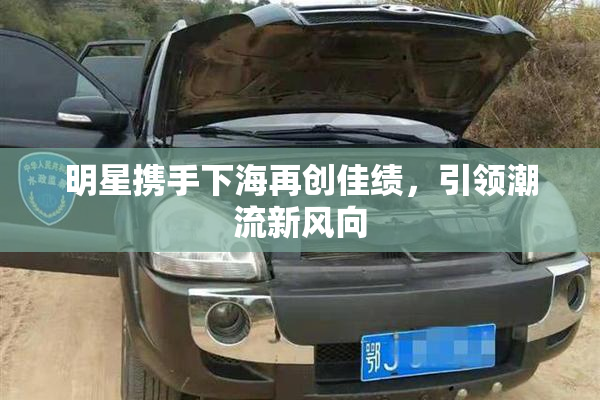 明星携手下海再创佳绩，引领潮流新风向