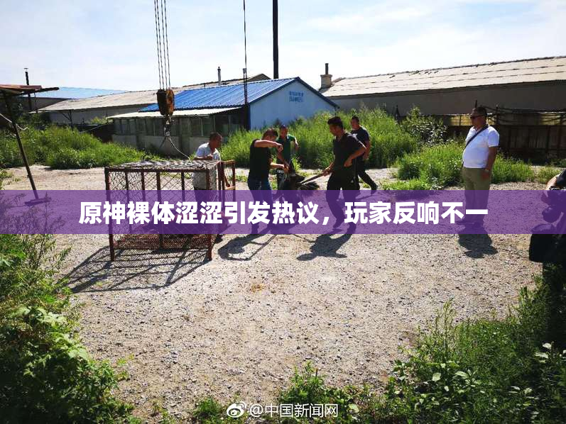 原神裸体涩涩引发热议，玩家反响不一