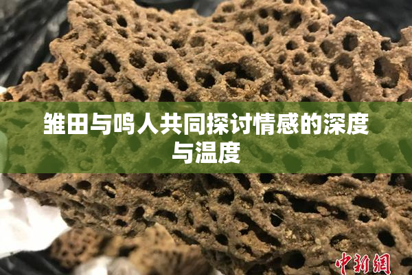 雏田与鸣人共同探讨情感的深度与温度