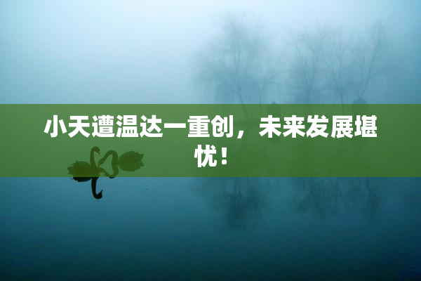小天遭温达一重创，未来发展堪忧！