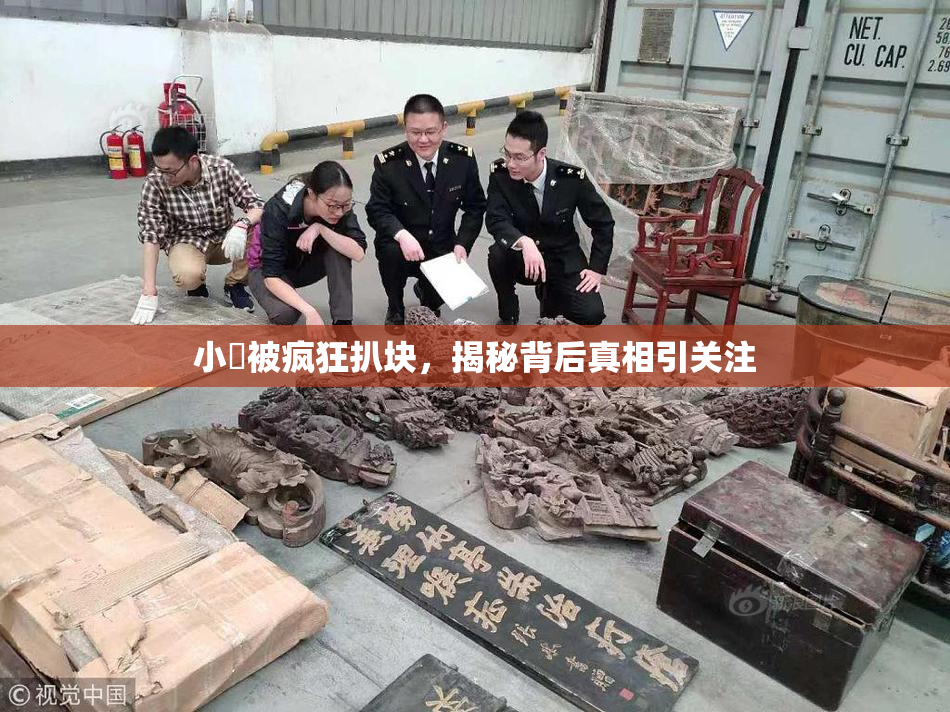 小泬被疯狂扒块，揭秘背后真相引关注