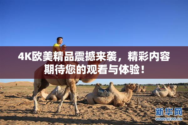 4K欧美精品震撼来袭，精彩内容期待您的观看与体验！