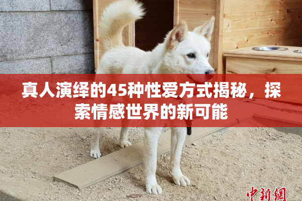 真人演绎的45种性爱方式揭秘，探索情感世界的新可能