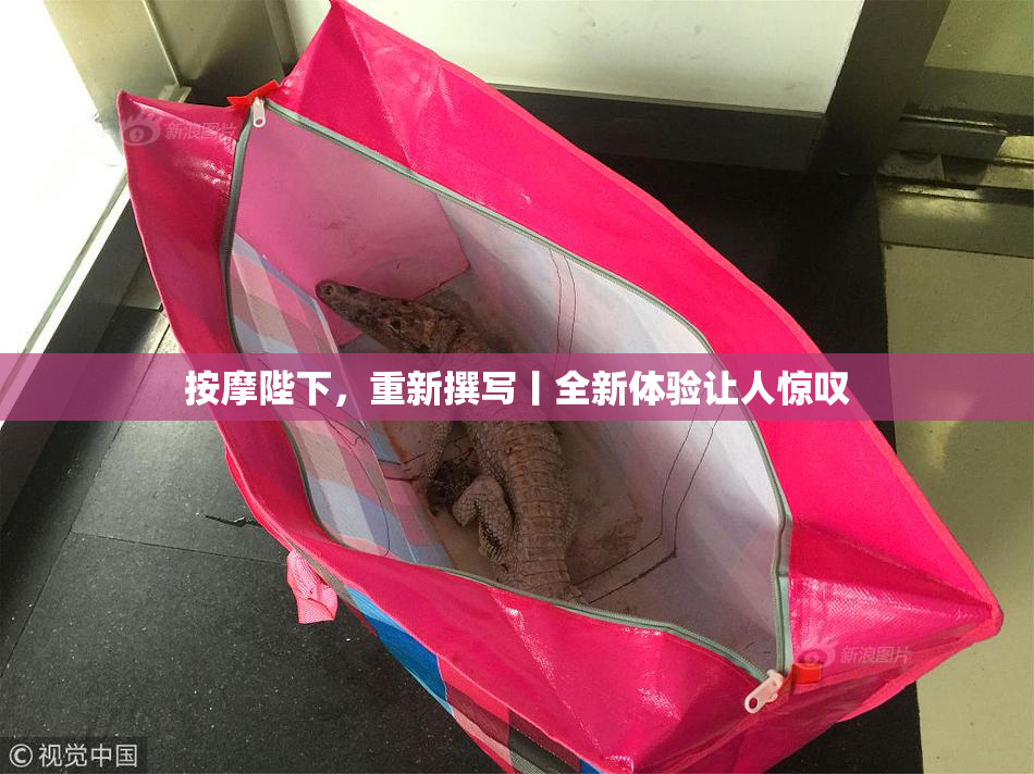 按摩陛下，重新撰写丨全新体验让人惊叹
