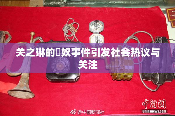 关之琳的婬奴事件引发社会热议与关注