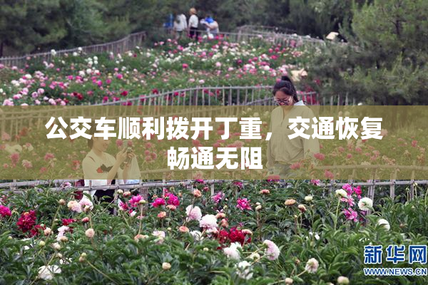 公交车顺利拨开丁重，交通恢复畅通无阻