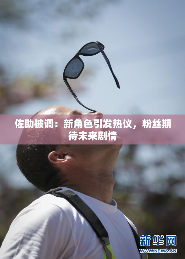 佐助被调：新角色引发热议，粉丝期待未来剧情