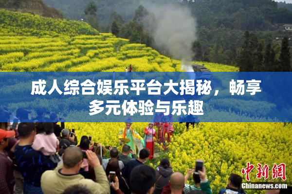 成人综合娱乐平台大揭秘，畅享多元体验与乐趣