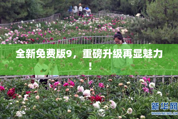 全新免费版9，重磅升级再显魅力！