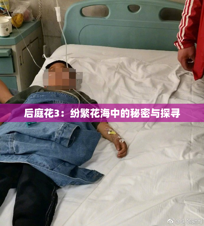 后庭花3：纷繁花海中的秘密与探寻