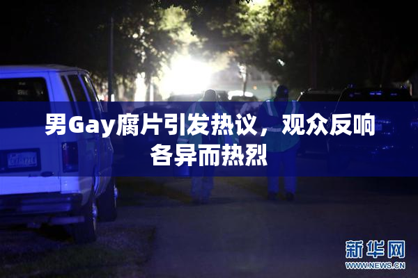 男Gay腐片引发热议，观众反响各异而热烈
