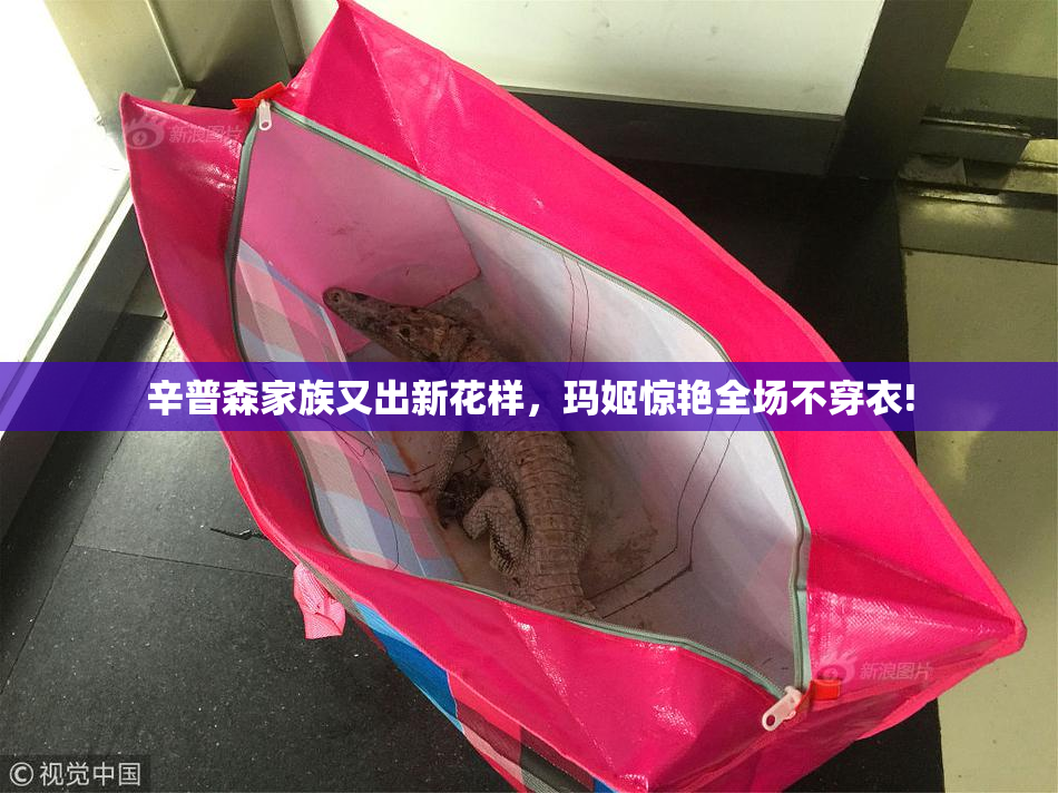 辛普森家族又出新花样，玛姬惊艳全场不穿衣!