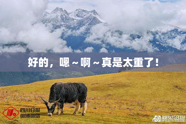 好的，嗯～啊～真是太重了！