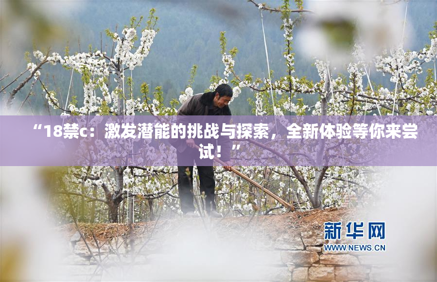 “18禁c：激发潜能的挑战与探索，全新体验等你来尝试！”