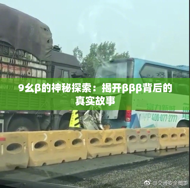 9幺β的神秘探索：揭开βββ背后的真实故事