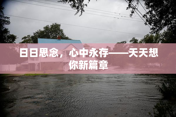 日日思念，心中永存——天天想你新篇章