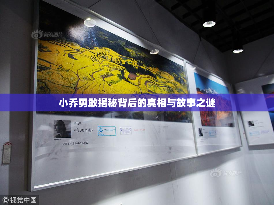 小乔勇敢揭秘背后的真相与故事之谜