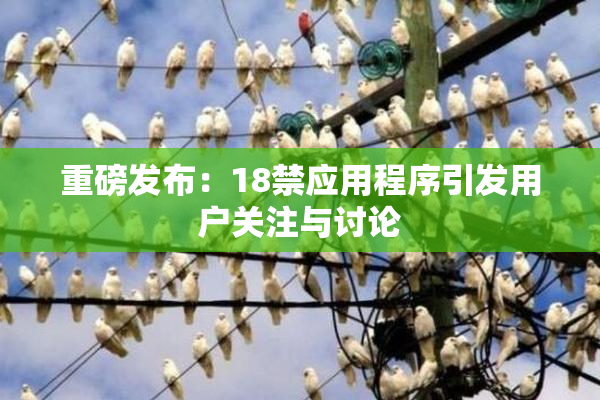 重磅发布：18禁应用程序引发用户关注与讨论