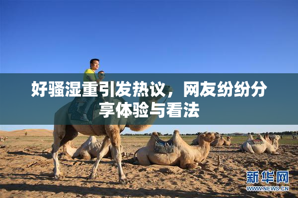 好骚湿重引发热议，网友纷纷分享体验与看法