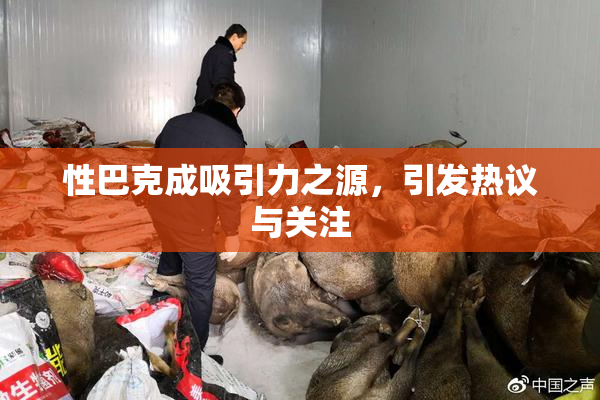 性巴克成吸引力之源，引发热议与关注