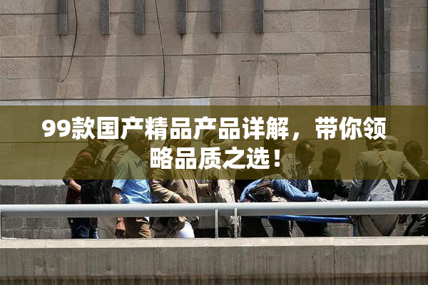 99款国产精品产品详解，带你领略品质之选！