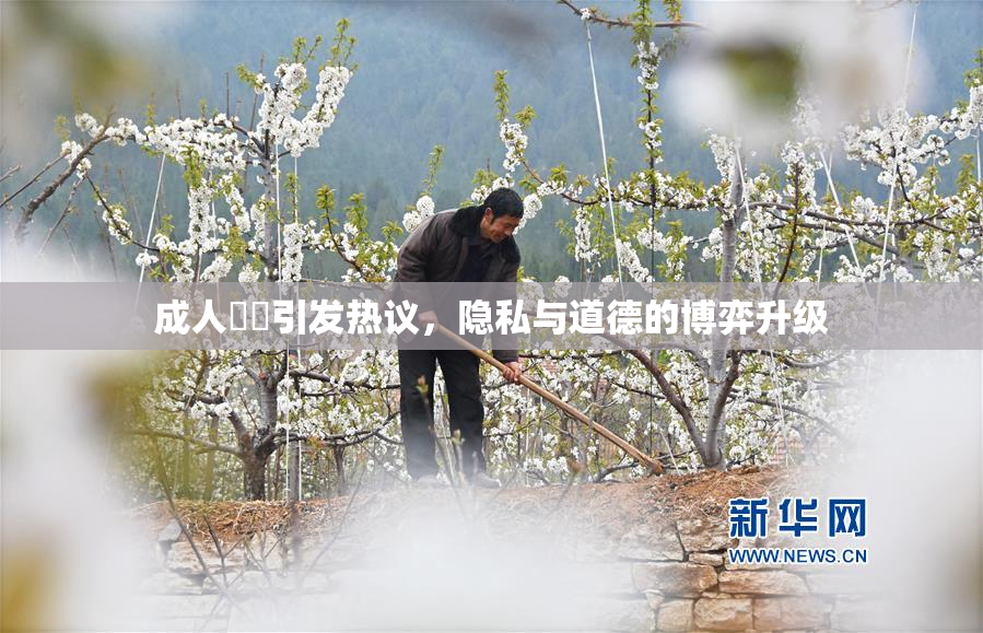 成人視頻引发热议，隐私与道德的博弈升级
