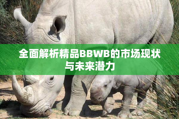全面解析精品BBWB的市场现状与未来潜力