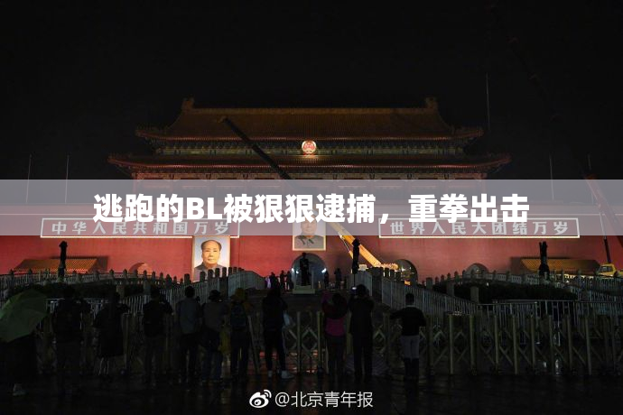 逃跑的BL被狠狠逮捕，重拳出击