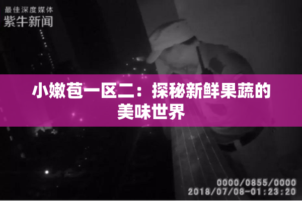 小嫩苞一区二：探秘新鲜果蔬的美味世界