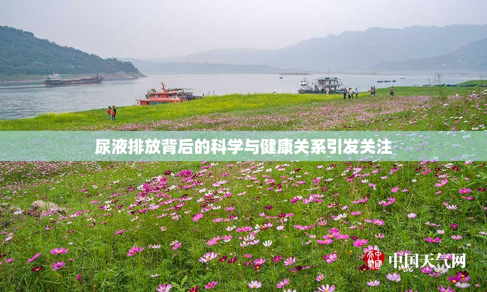 尿液排放背后的科学与健康关系引发关注