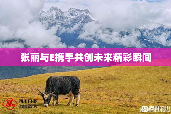 张丽与E携手共创未来精彩瞬间