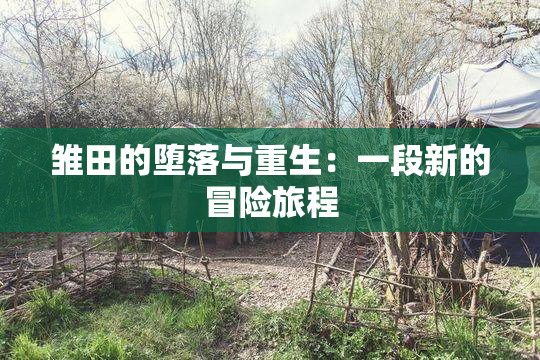 雏田的堕落与重生：一段新的冒险旅程