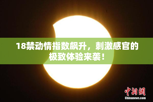 18禁动情指数飙升，刺激感官的极致体验来袭！
