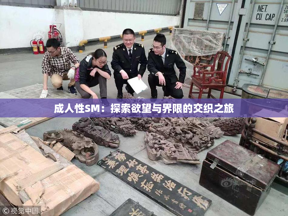 成人性SM：探索欲望与界限的交织之旅