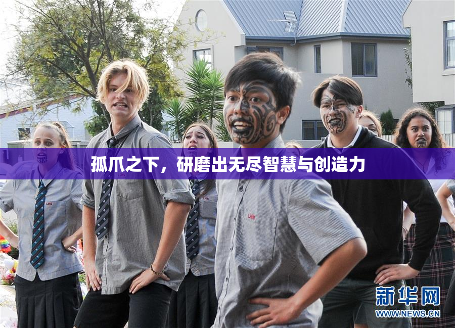 孤爪之下，研磨出无尽智慧与创造力