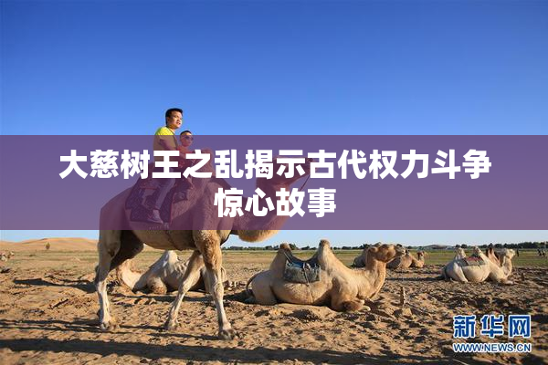 大慈树王之乱揭示古代权力斗争惊心故事