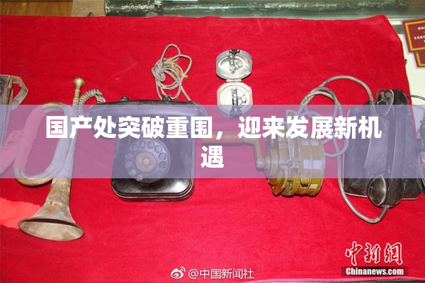 国产处突破重围，迎来发展新机遇