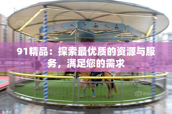 91精品：探索最优质的资源与服务，满足您的需求