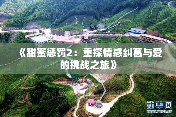 《甜蜜惩罚2：重探情感纠葛与爱的挑战之旅》