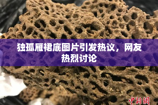 独孤雁裙底图片引发热议，网友热烈讨论