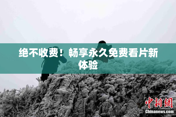 绝不收费！畅享永久免费看片新体验