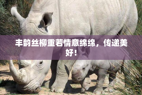丰韵丝柳重若情意绵绵，传递美好！