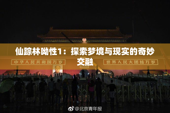 仙踪林呦性1：探索梦境与现实的奇妙交融