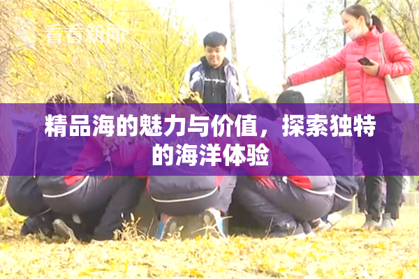 精品海的魅力与价值，探索独特的海洋体验