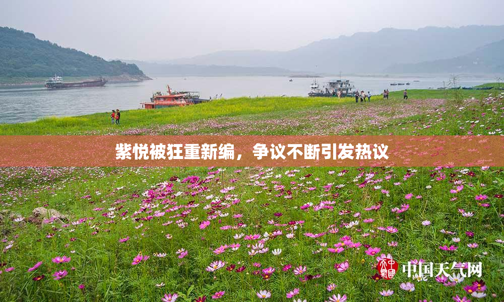 紫悦被狂重新编，争议不断引发热议