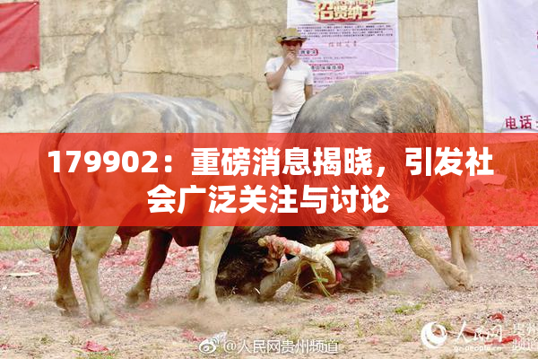 179902：重磅消息揭晓，引发社会广泛关注与讨论
