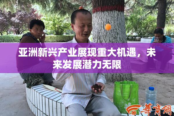 亚洲新兴产业展现重大机遇，未来发展潜力无限