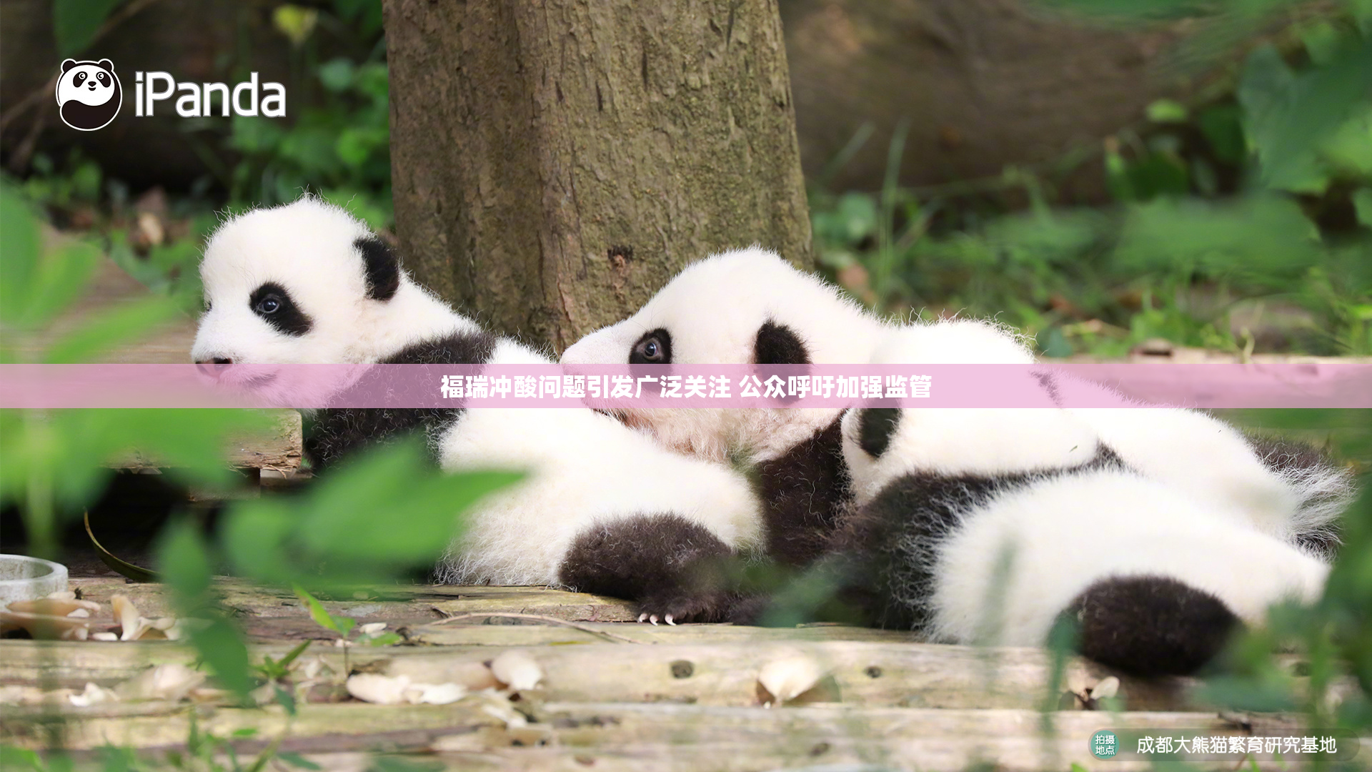 福瑞冲酸问题引发广泛关注 公众呼吁加强监管