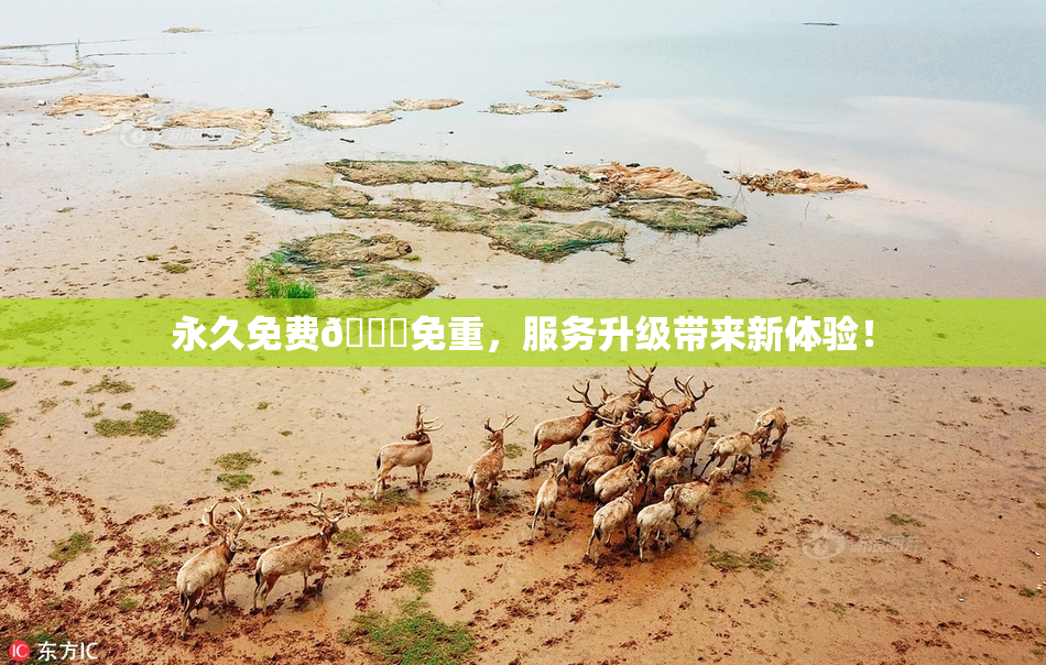 永久免费🔞免重，服务升级带来新体验！